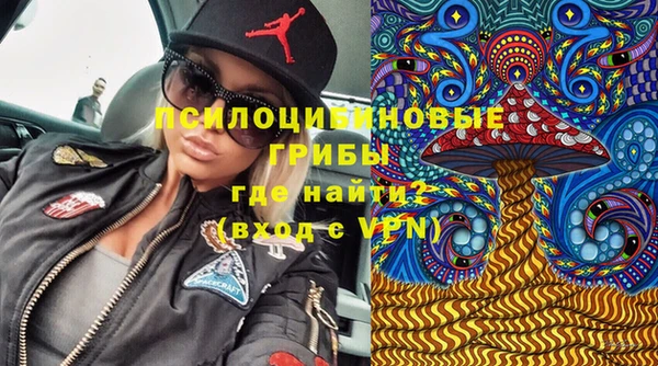 тгк Гусь-Хрустальный
