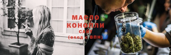тгк Гусь-Хрустальный