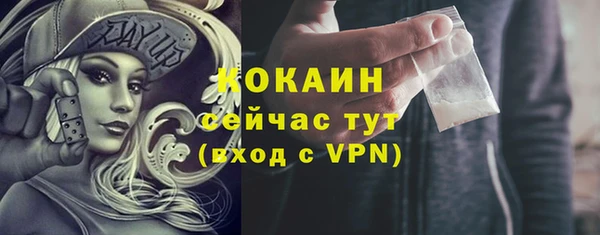 дурь Гусев