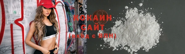 дурь Гусев