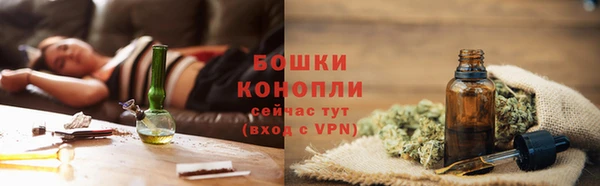 тгк Гусь-Хрустальный
