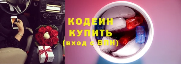 дурь Гусев