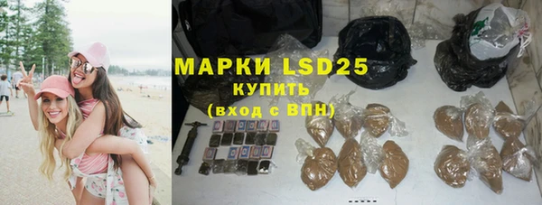 дурь Гусев