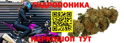 сатива Ливны