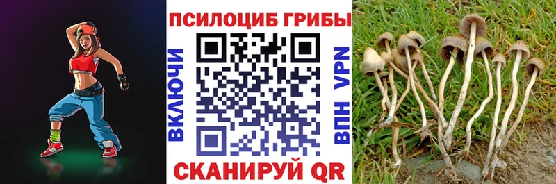 мориарти Telegram  Обь  Галлюциногенные грибы Magic Shrooms  купить наркотик  MEGA  