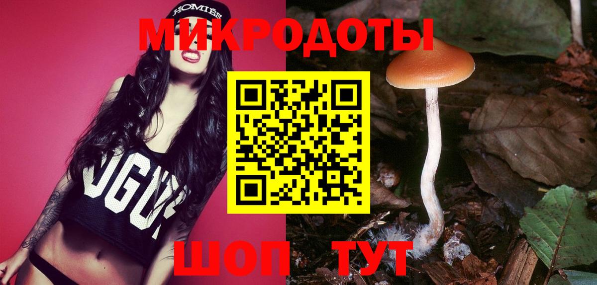 Галлюциногенные грибы Cubensis Обь