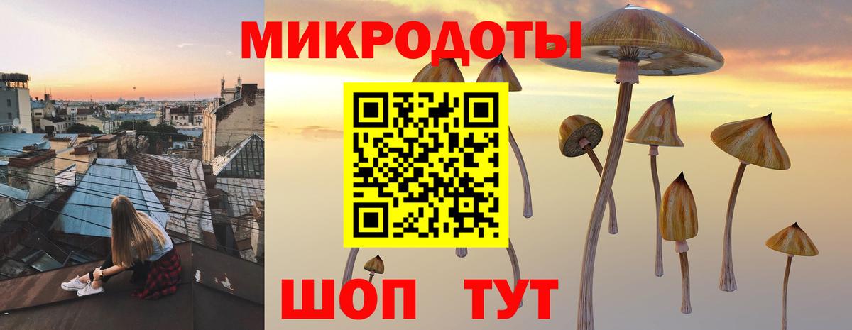 Галлюциногенные грибы Magic Shrooms  Вход с VPN  Обь 